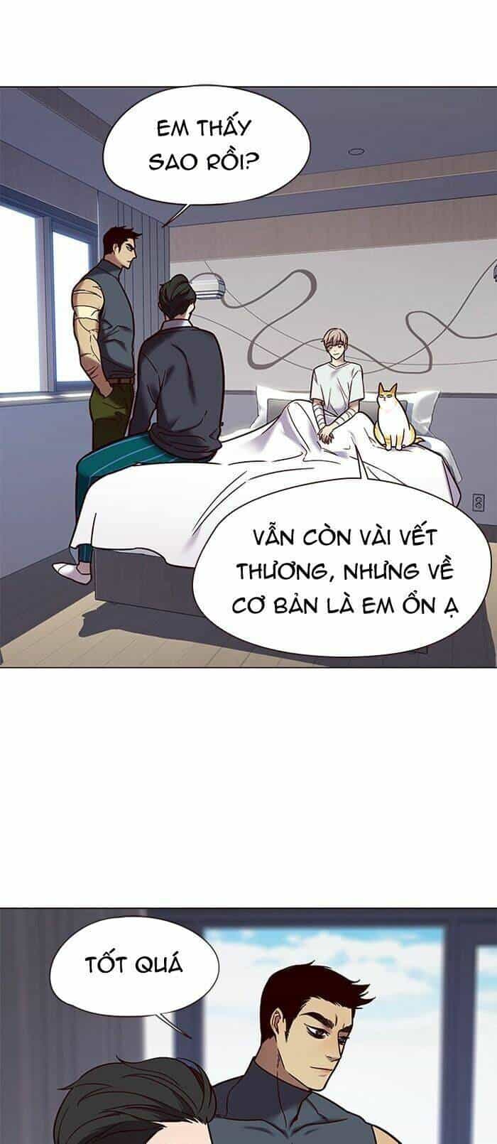 Hoá Thân Thành Mèo - Chương 89 - ảnh 4