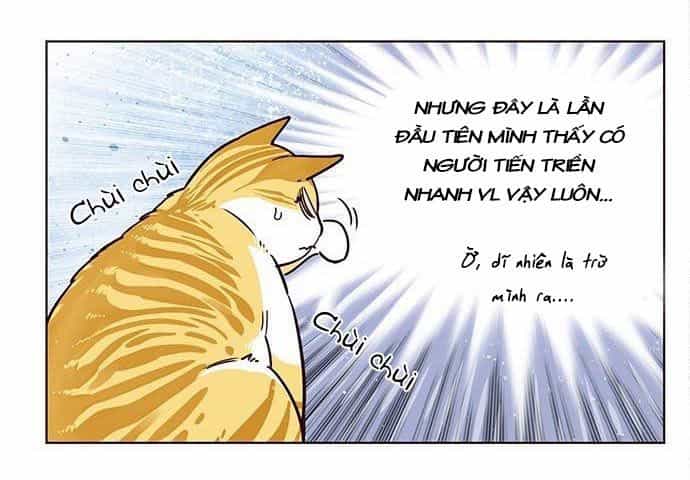 Hoá Thân Thành Mèo - Chương 9 - ảnh 28