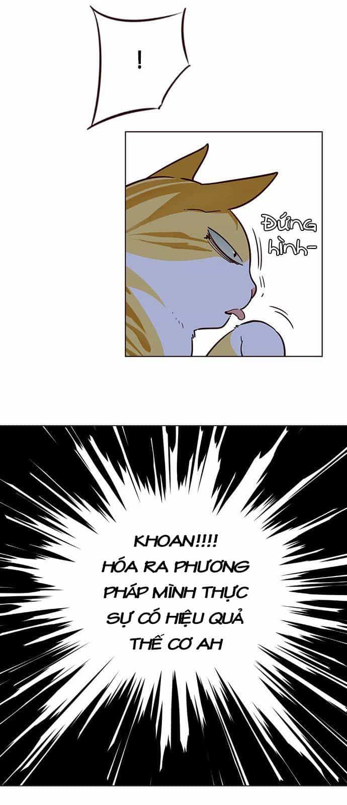 Hoá Thân Thành Mèo - Chương 9 - ảnh 29
