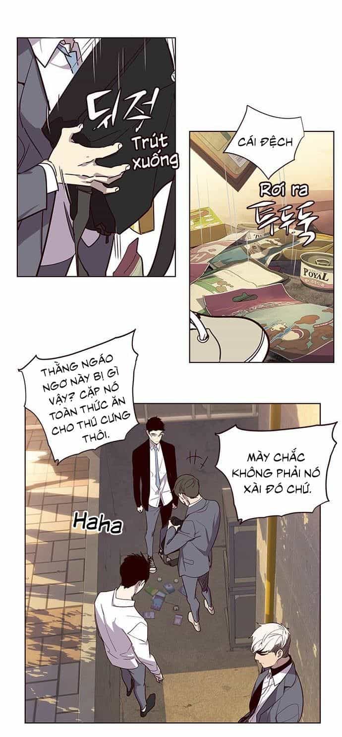 Hoá Thân Thành Mèo - Chương 9 - ảnh 44