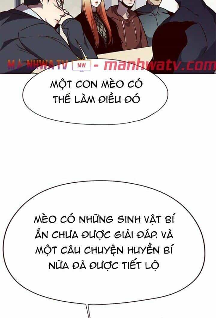 Hoá Thân Thành Mèo - Chương 90 - ảnh 16