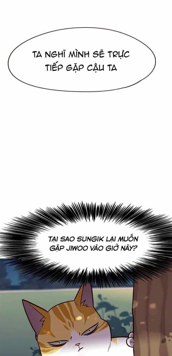 Hoá Thân Thành Mèo - Chương 91 - ảnh 26