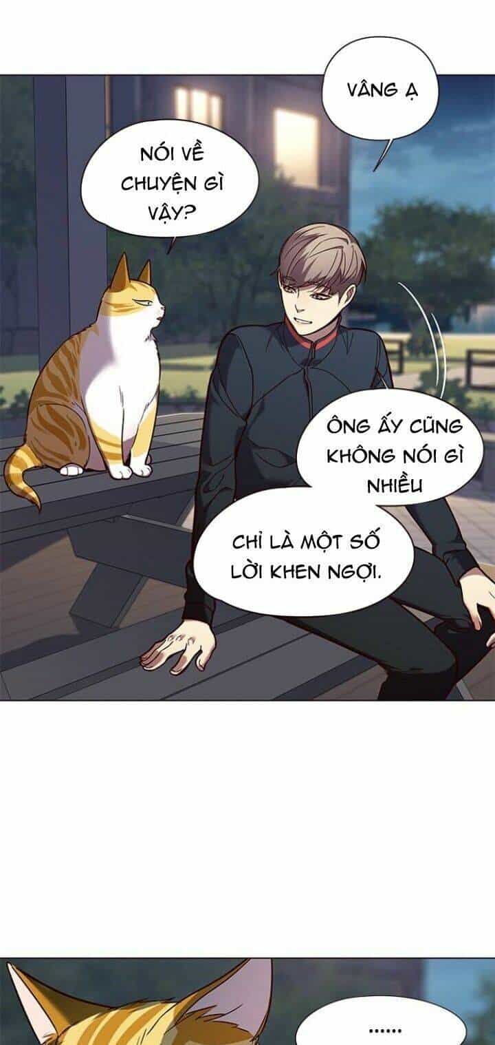 Hoá Thân Thành Mèo - Chương 91 - ảnh 57