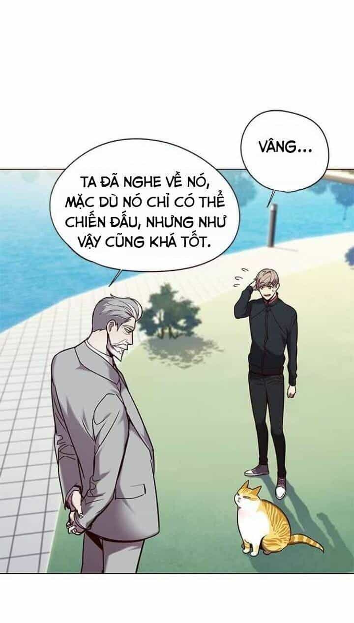 Hoá Thân Thành Mèo - Chương 92 - ảnh 26