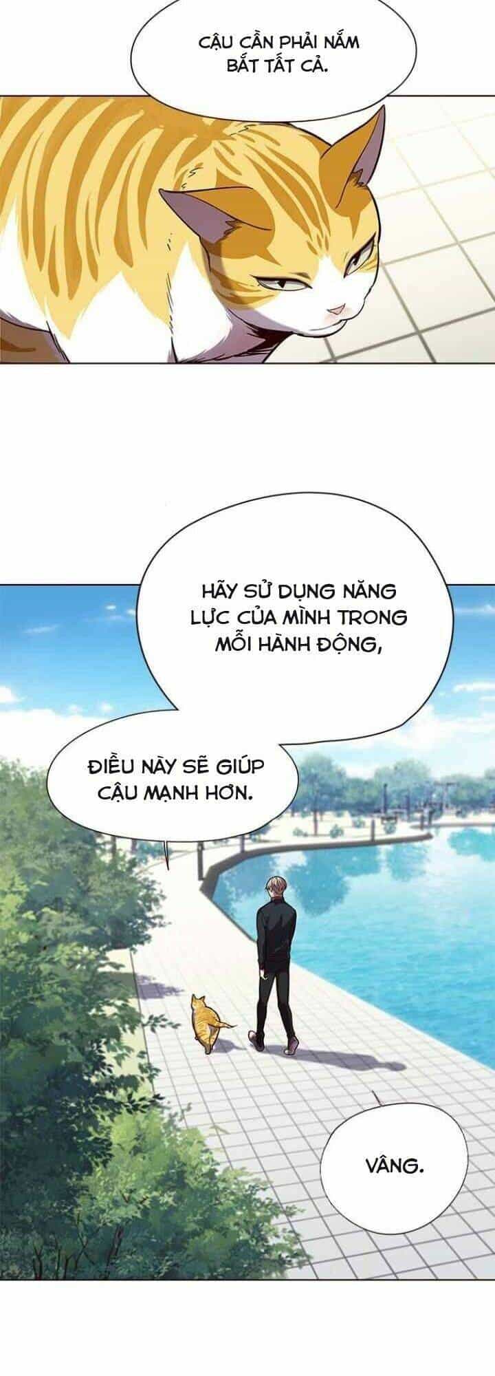 Hoá Thân Thành Mèo - Chương 92 - ảnh 6