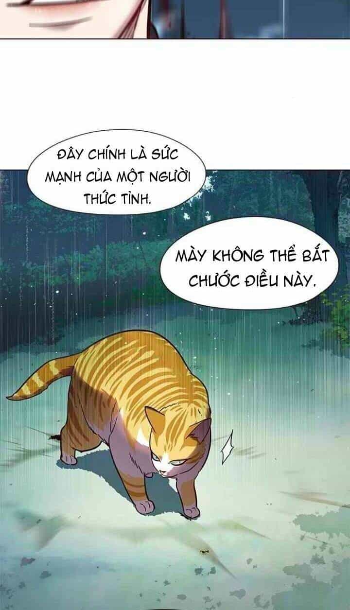 Hoá Thân Thành Mèo - Chương 93 - ảnh 49