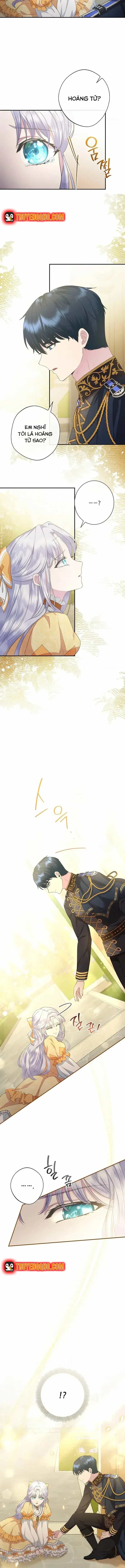 Hoa Tím Nở Nơi Vũng Lầy - Chương 11 - ảnh 5