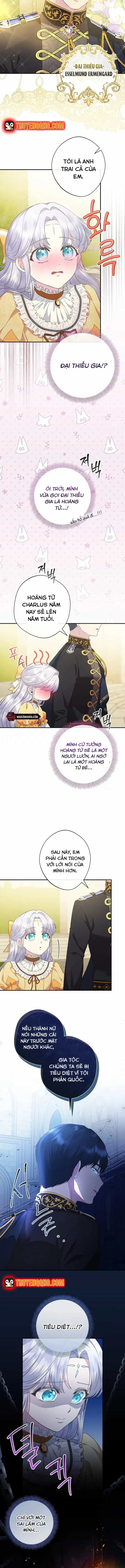 Hoa Tím Nở Nơi Vũng Lầy - Chương 11 - ảnh 7