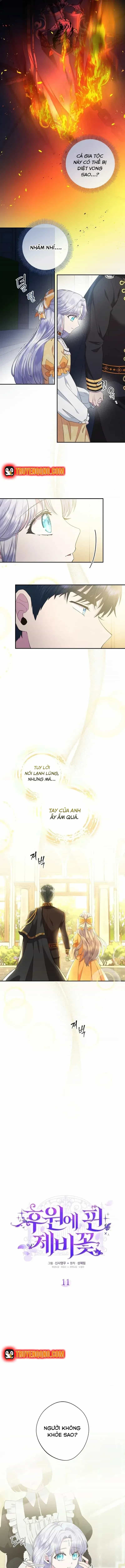 Hoa Tím Nở Nơi Vũng Lầy - Chương 11 - ảnh 8