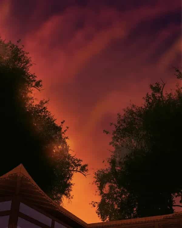 Hoàng Đế Máu Lạnh Của Tôi - Chương 62 - ảnh 35