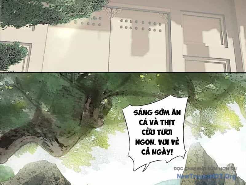 Hoàng Đế Nhà Ta Lại Là Nội Ứng - Chương 10 - ảnh 4