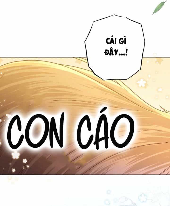 Hoàng Hậu Tái Hôn - Chương 142 - ảnh 22