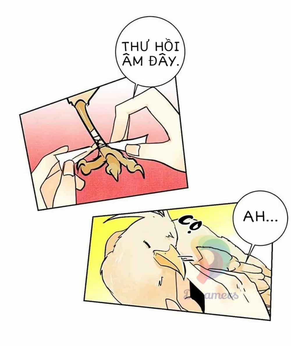 Hoàng Hậu Tái Hôn - Chương 6 - ảnh 36