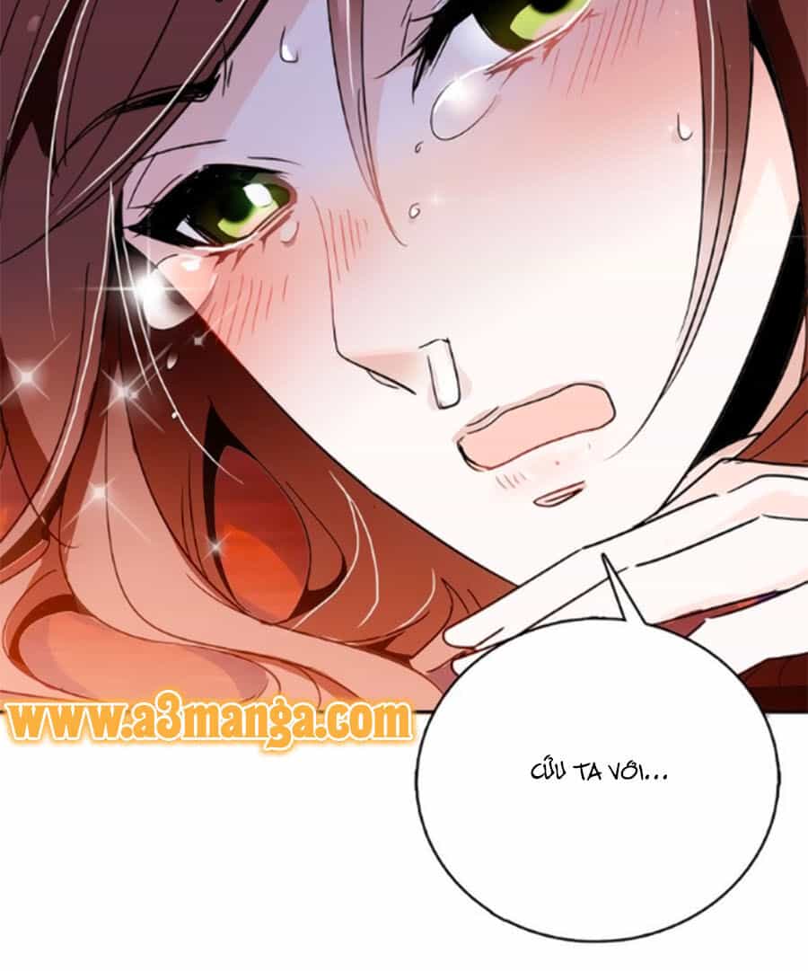 Hoàng Thượng! Hãy Sủng Ái Ta Đi! - Chương 9 - ảnh 6