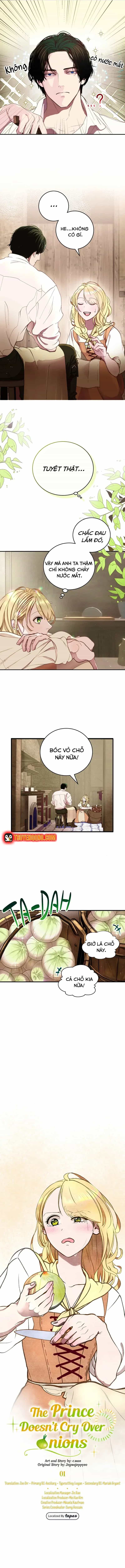 Hoàng Tử Không Khóc Vì Hành Tây - Chương 1 - ảnh 4