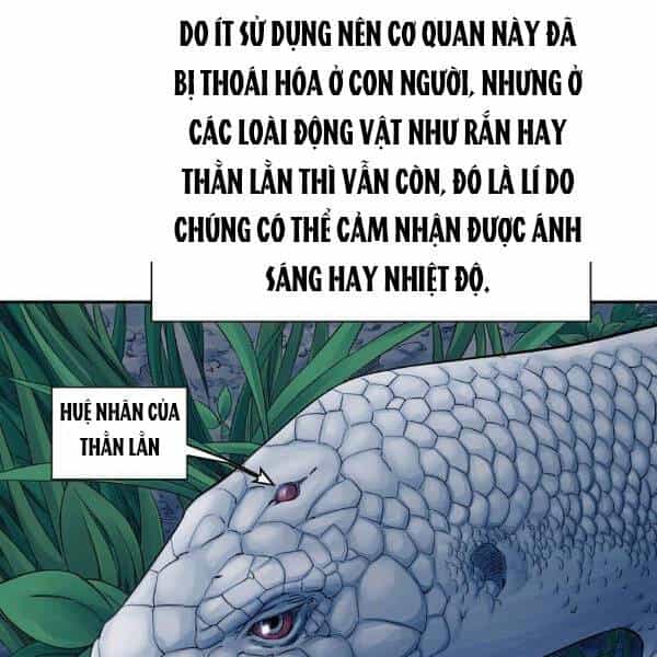 Hoành Tảo Cửu Châu - Chương 31 - ảnh 37