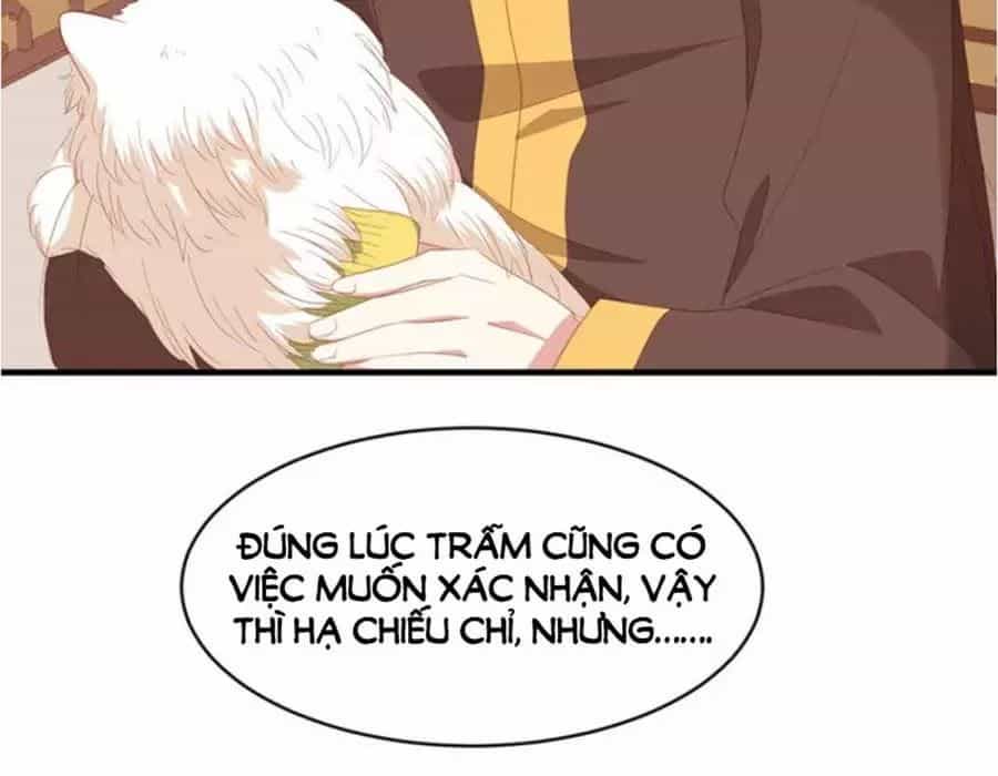 Hội Học Sinh Kiêu Ngạo Của Hoàng Cung - Chương 19 - ảnh 82