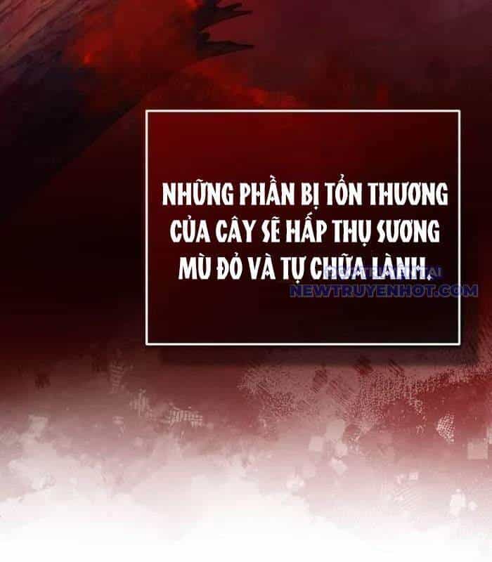 Hồi Quy Giả Về Hưu - Chương 54 - ảnh 52
