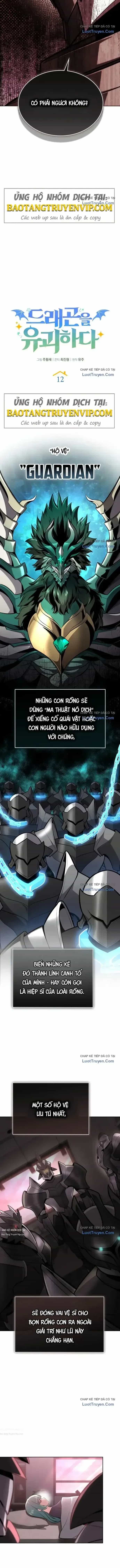 Hồi Quy Trở Thành Người Bảo Hộ Rồng - Chương 12 - ảnh 10