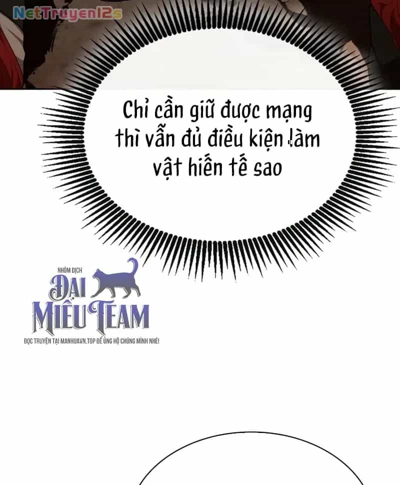 Hồi Quy Trở Thành Người Bảo Hộ Rồng - Chương 51 - ảnh 17