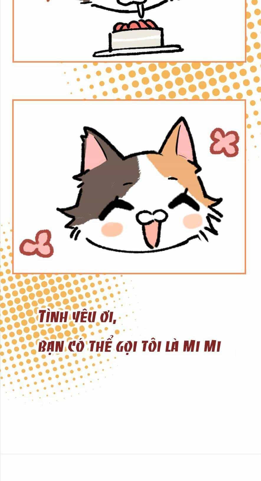 Hôm Nay Anh Có Lộ Bí Mật Chưa? - Chương 7 - ảnh 41