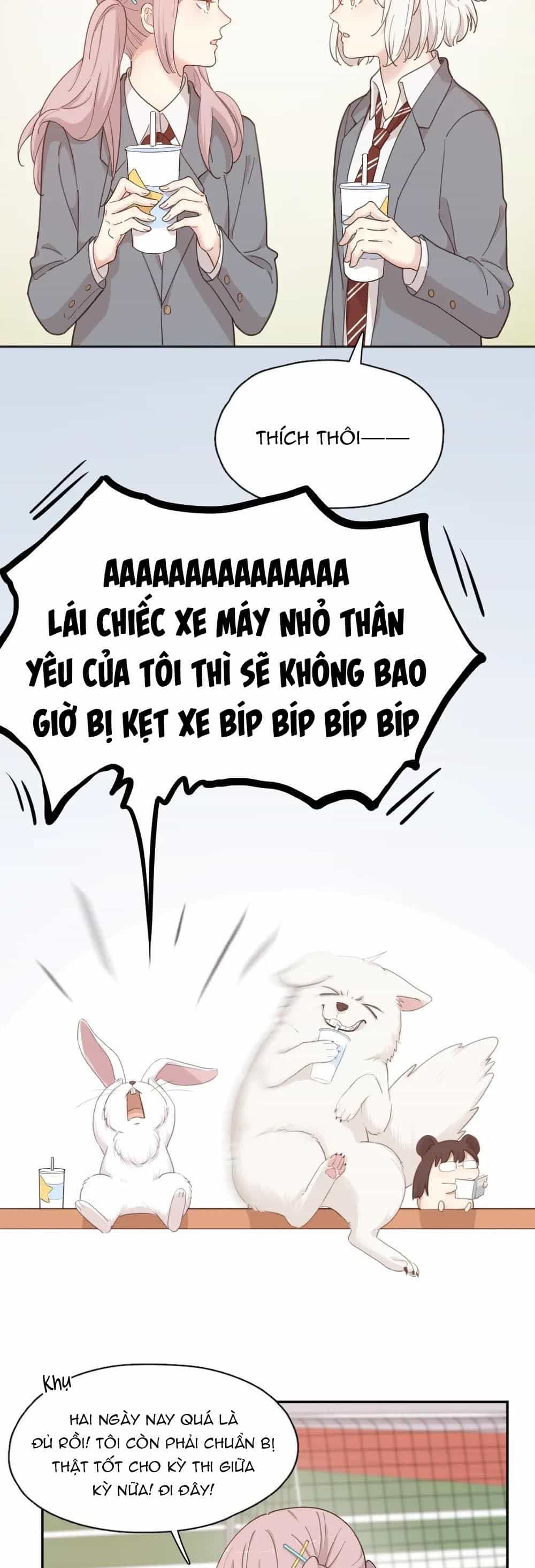 Hôm Nay Cô Ấy Cũng Rất Dễ Thương - Chương 20 - ảnh 19