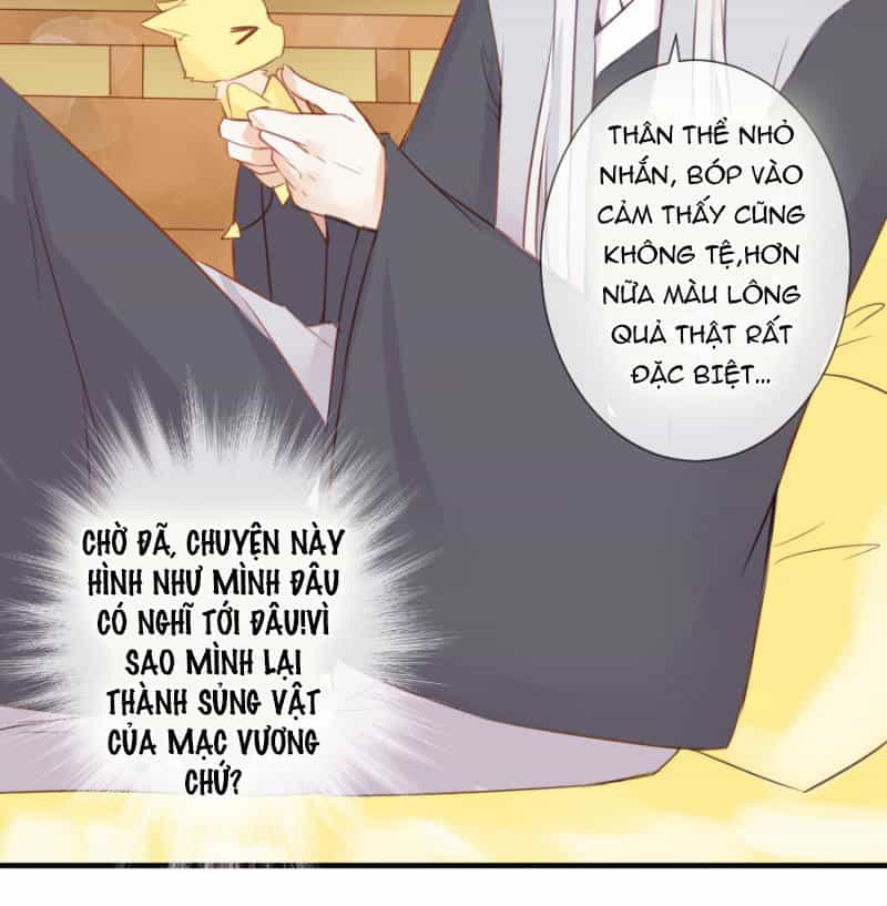 Hôm Nay Ta Cũng Muốn Trêu Chọc Nàng - Chương 32 - ảnh 8