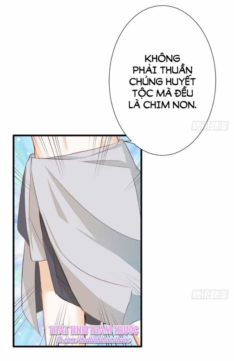 Hôm Nay Ta Cũng Muốn Trêu Chọc Nàng - Chương 75 - ảnh 8