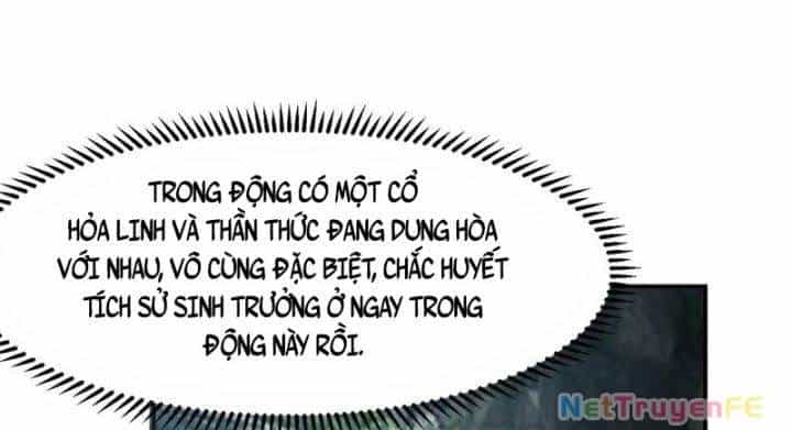 Hỗn Độn Đan Thần - Chương 366 - ảnh 23