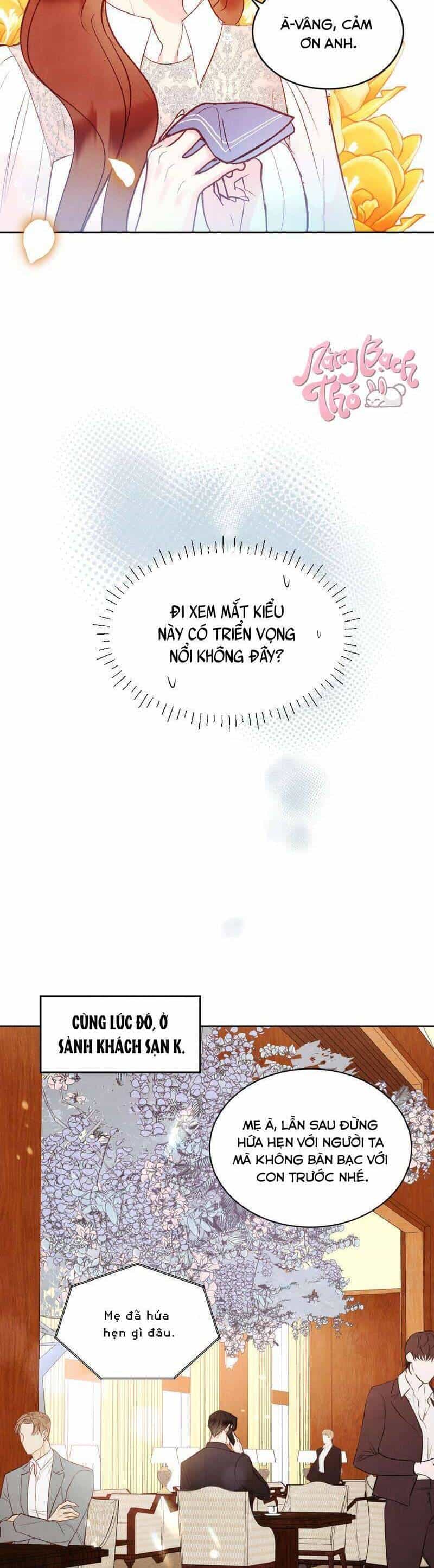 Hôn Nhân Bí Mật Giữa Chúng Ta - Chương 3 - ảnh 8