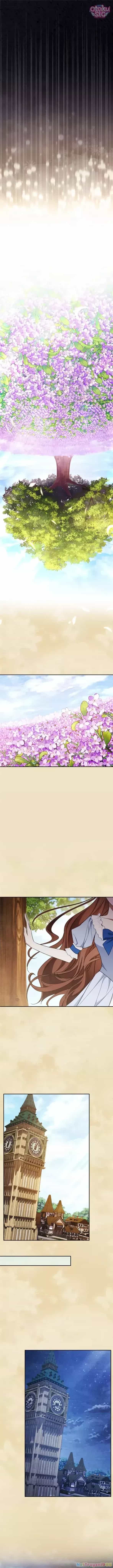 Hôn Phu À, Ta Biết Chàng Ghét Ta - Chương 20 - ảnh 12