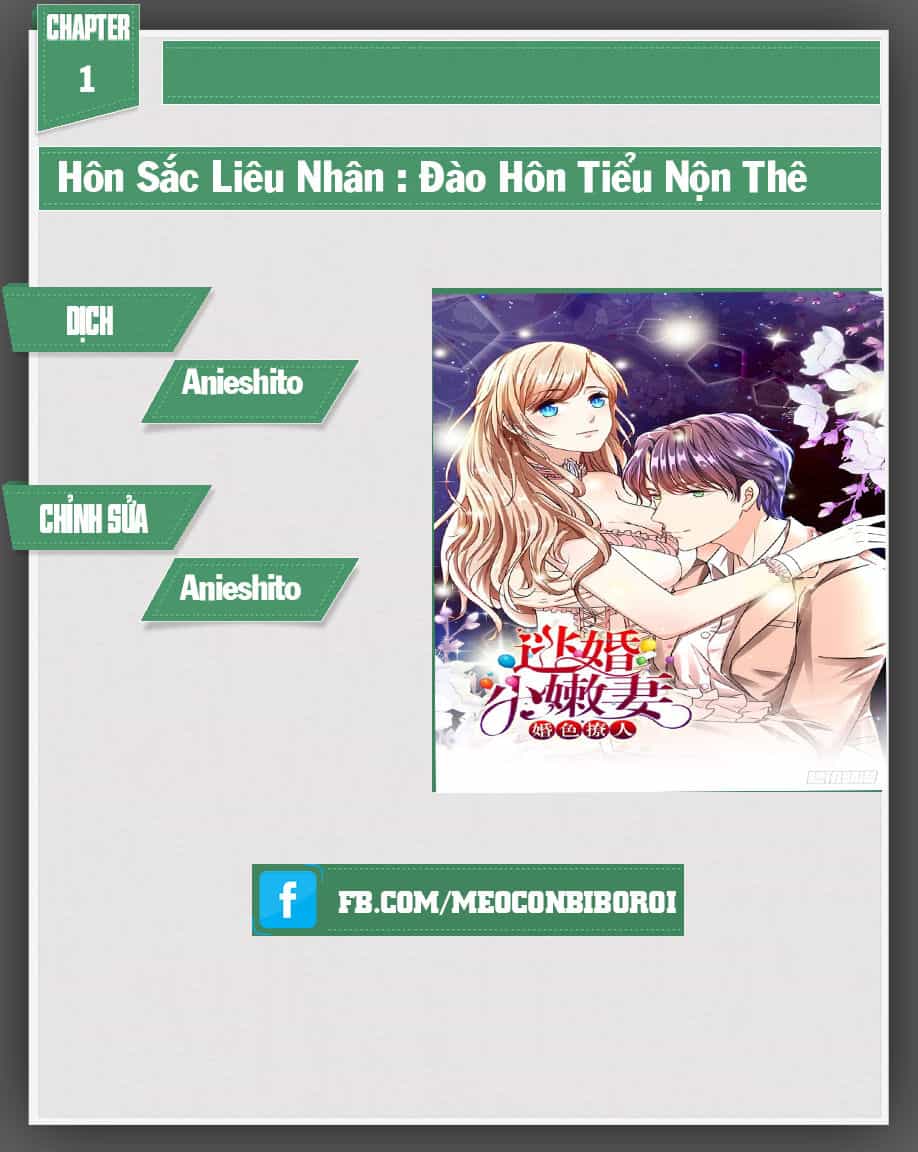 Hôn Sắc Liêu Nhân: Đào Hôn Tiểu Nộn Thê - Chương 1 - ảnh 1
