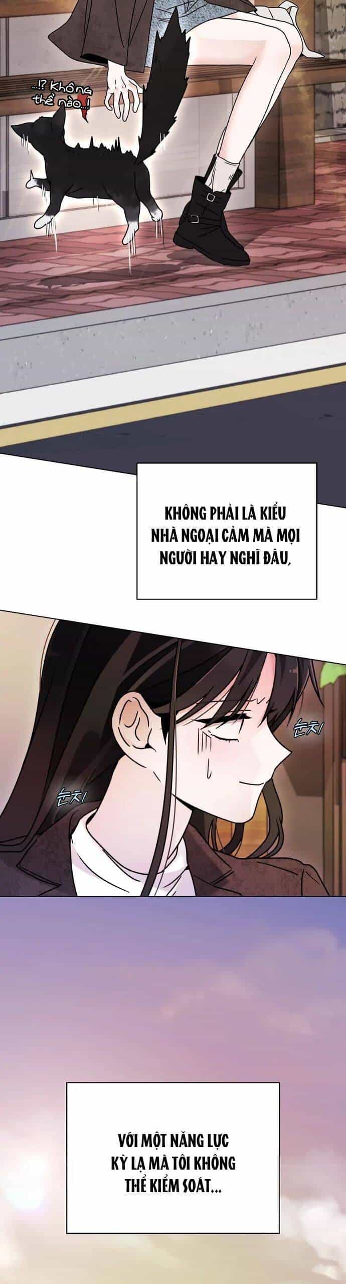 Hôn Trước Khi Ngủ - Chương 1 - ảnh 35