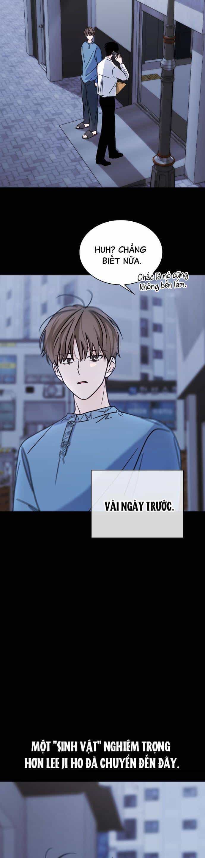 Hôn Trước Khi Ngủ - Chương 18 - ảnh 7