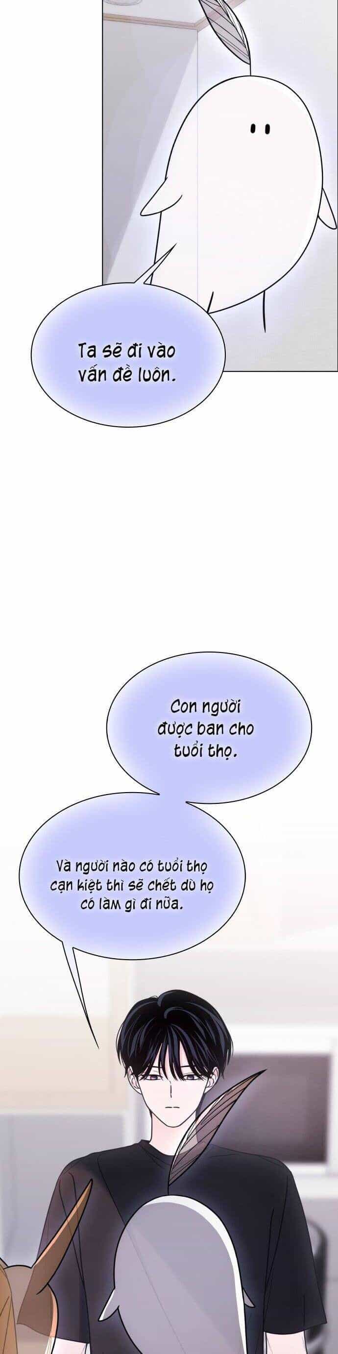 Hôn Trước Khi Ngủ - Chương 42 - ảnh 16