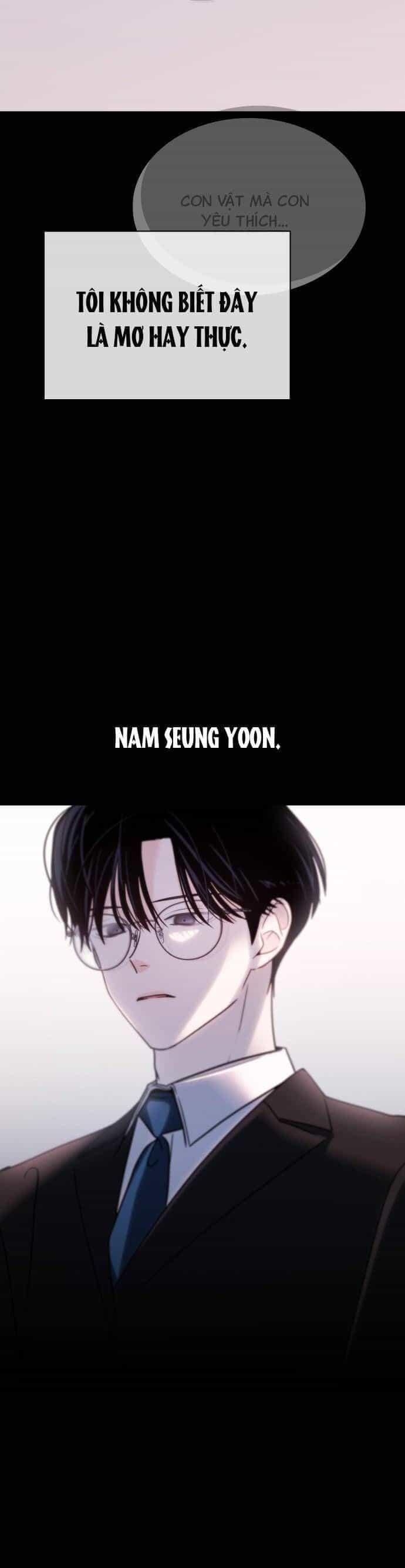 Hôn Trước Khi Ngủ - Chương 49 - ảnh 24