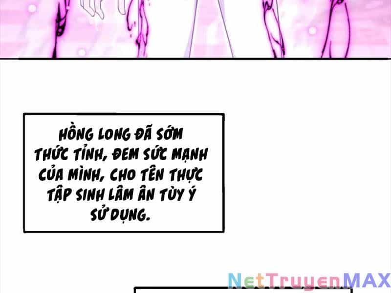 Hồng Long Dũng Giả Không Phải Người Lương Thiện - Chương 15 - ảnh 201