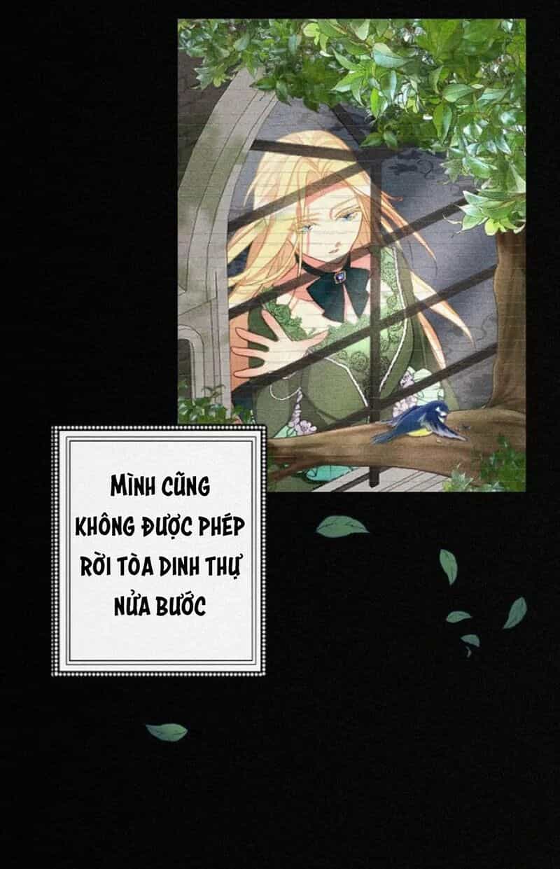 Hợp Đồng Hôn Nhân Với Công Tước Bất Lực - Chương 1 - ảnh 48