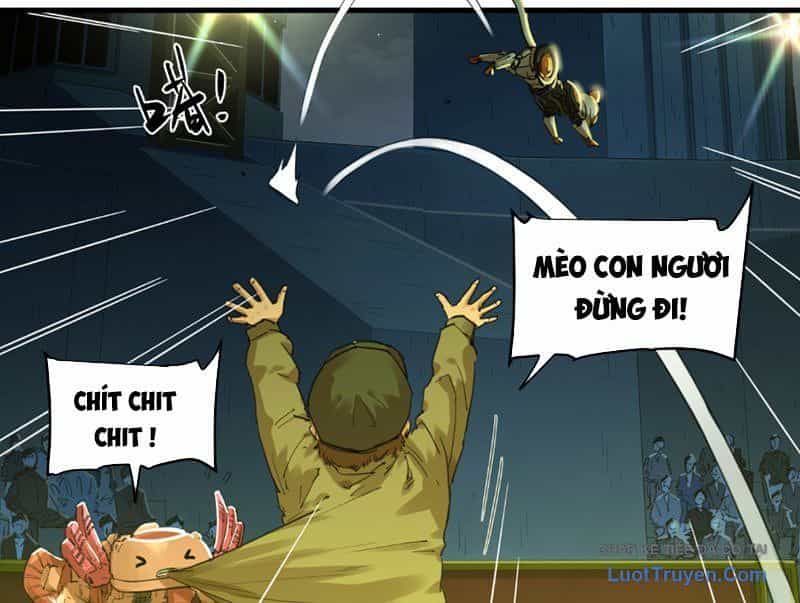 Hộp Mãnh Thú: Kỷ Nguyên Cơ Giáp - Chương 65 - ảnh 21