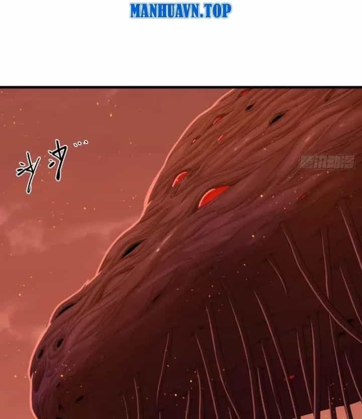 Hộp Mãnh Thú: Kỷ Nguyên Cơ Giáp - Chương 84 - ảnh 13