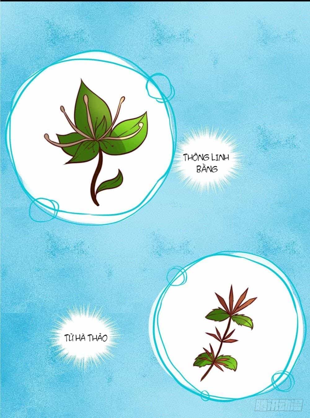 Hướng Dẫn Sau Kết Hôn Của Vương Phi - Chương 12 - ảnh 21