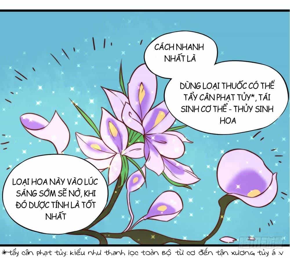 Hướng Dẫn Sau Kết Hôn Của Vương Phi - Chương 17 - ảnh 25
