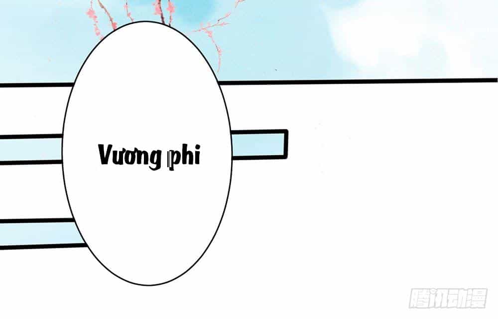 Hướng Dẫn Sau Kết Hôn Của Vương Phi - Chương 1 - ảnh 12