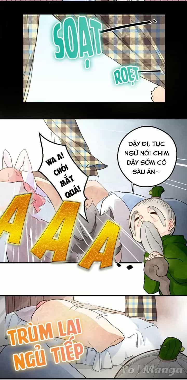 Hữu Ngôn Tại Tiên - Chương 13 - ảnh 3