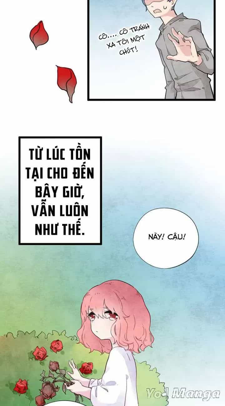 Hữu Ngôn Tại Tiên - Chương 8 - ảnh 5