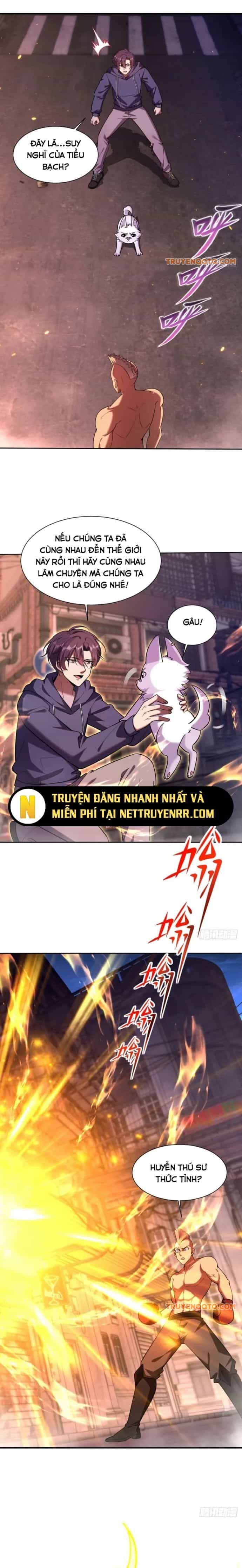 Huyễn Thú Của Ta Có Thể Tiến Hoá Vô Hạn - Chương 1 - ảnh 13