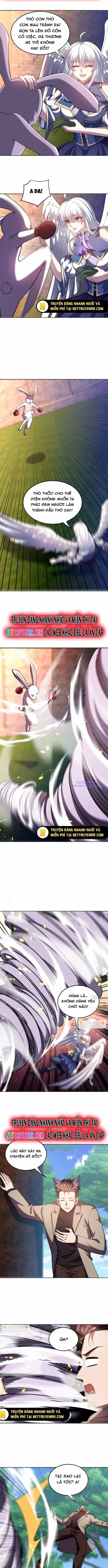 Huyễn Thú Của Ta Có Thể Tiến Hoá Vô Hạn - Chương 17 - ảnh 5