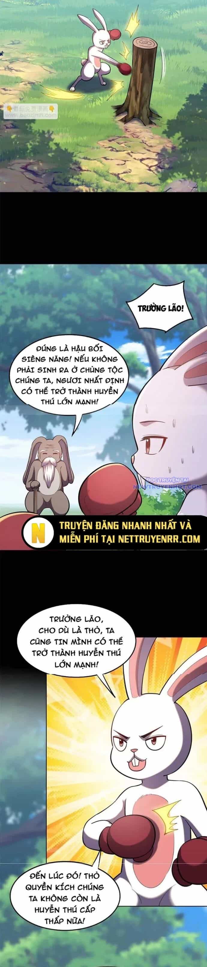 Huyễn Thú Của Ta Có Thể Tiến Hoá Vô Hạn - Chương 18 - ảnh 7
