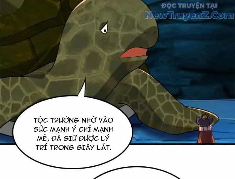 Huyễn Thú Của Ta Có Thể Tiến Hoá Vô Hạn - Chương 27 - ảnh 44