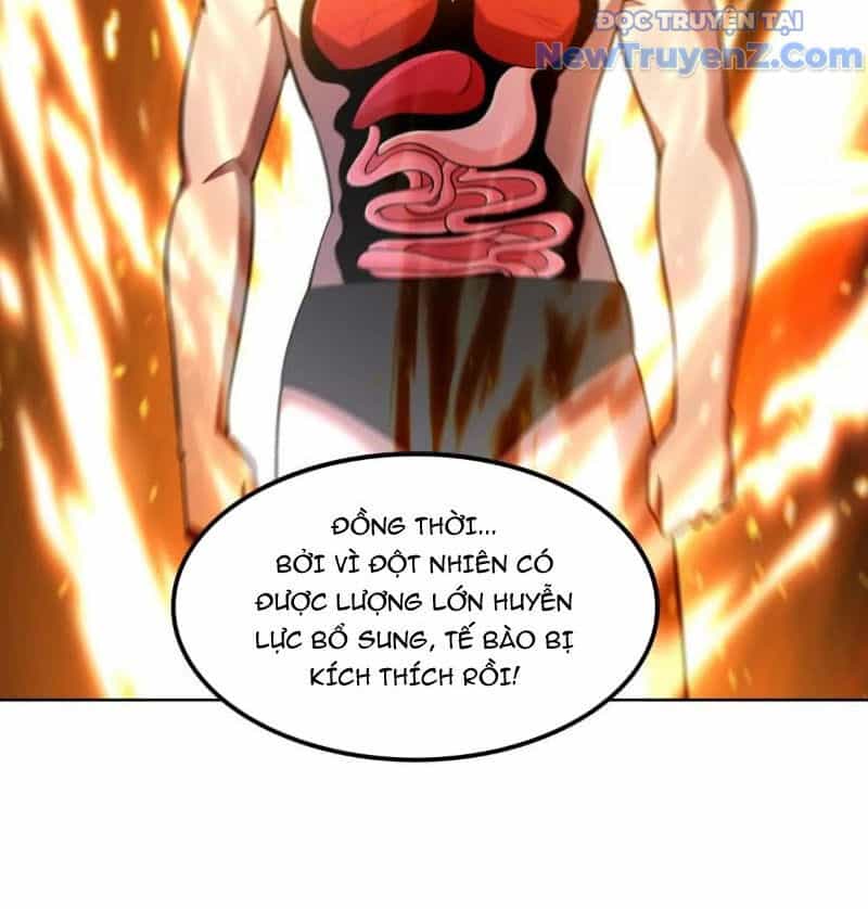 Huyễn Thú Của Ta Có Thể Tiến Hoá Vô Hạn - Chương 29 - ảnh 65